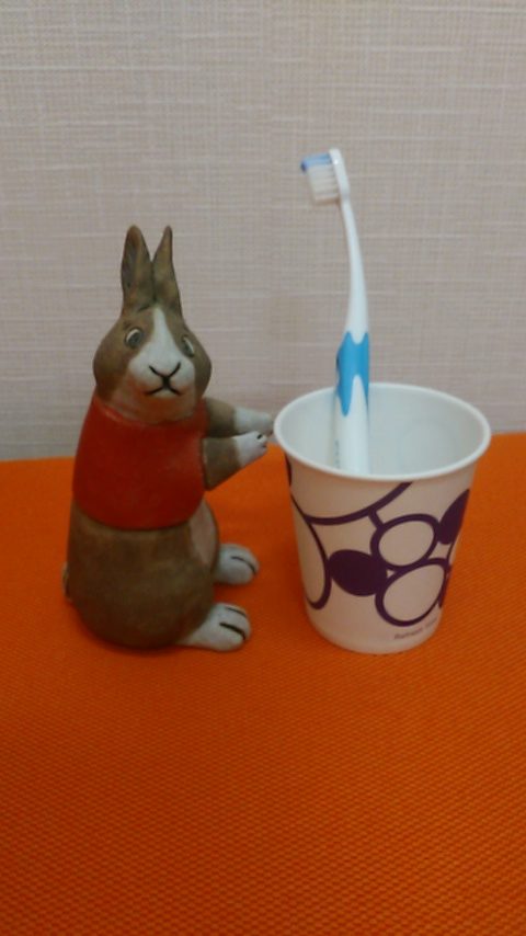 飲食物で歯が溶ける⁉