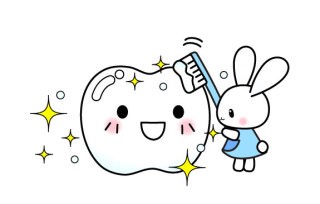 プラーク（歯垢）って？
