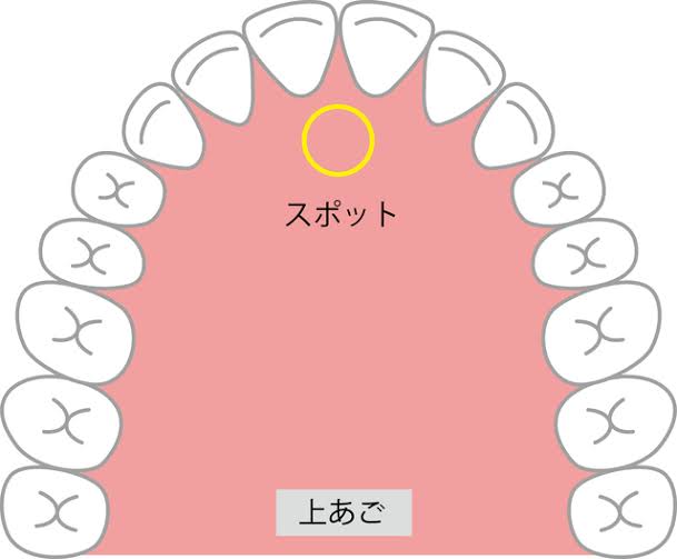 舌の正しい位置って？