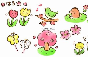 ココアと紅茶の効果について